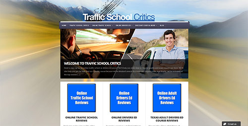 traffic school critics